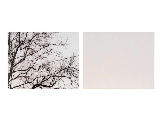 Uta Barth アートブック Uta Barth, Museum of Contemporary Art, 1995, Very Good