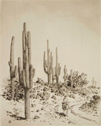 Gravura De Qualidade De Museu Sem título (tradução para Springtime, Paradise  Valley Arizona), 1920 por George Elbert Burr (1859-1939)