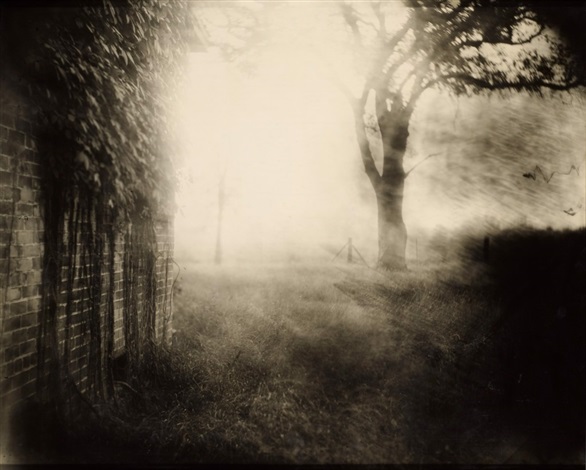 Untitled Deep South 41 by Sally Mann on artnet