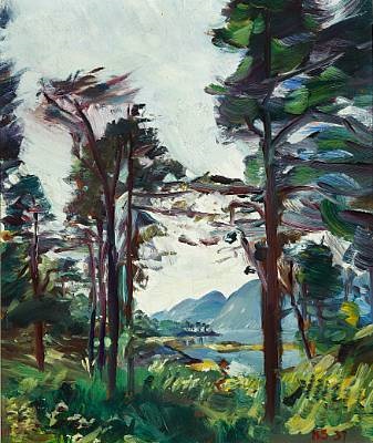 Ernst Schwitters in Norway: Photographs 1930-1960: L0kke