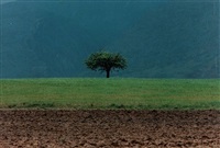 Abbas Kiarostami | Artnet
