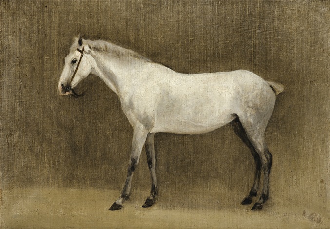 Gris pommelé hotsell