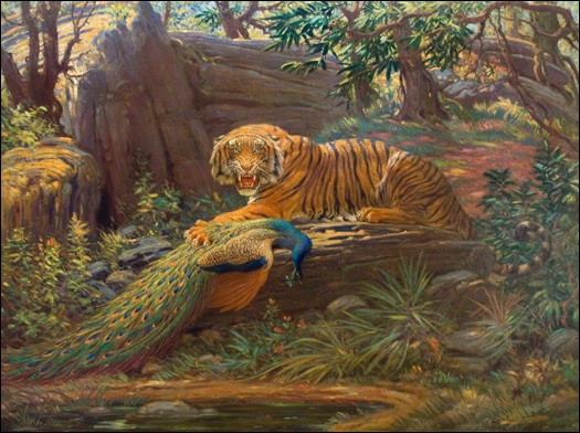 Bengal tiger and peacock by Charles Robert Knight on artnet