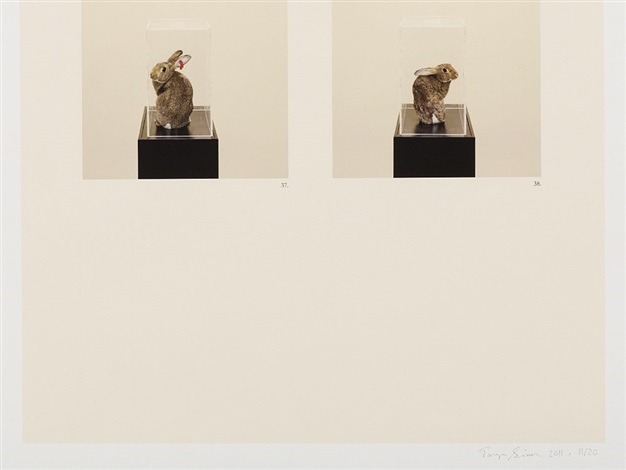 A Living Man Declared Dead by Taryn Simon on artnet