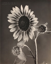 Tom Baril | Artnet | Page 7
