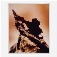 Andres Serrano | Artnet