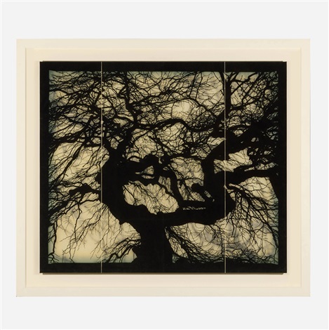 Structure of Thought 15 by Doug and Mike Starn on artnet