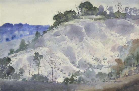 William blamire young