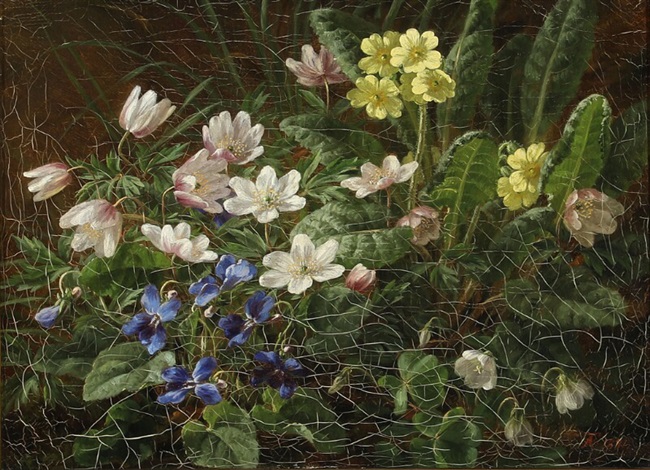 Spring flowers on the forest floor by Anthonie Eleonore (Anthonore