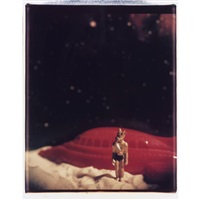 David Levinthal | Artnet | Page 9