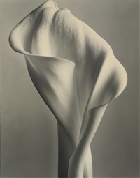 Tom Baril | Artnet | Page 7