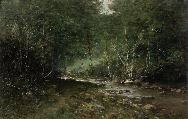 Woodland Stream by Carlo Pittara on