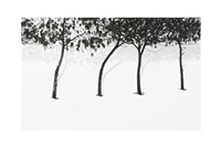 Abbas Kiarostami | Artnet