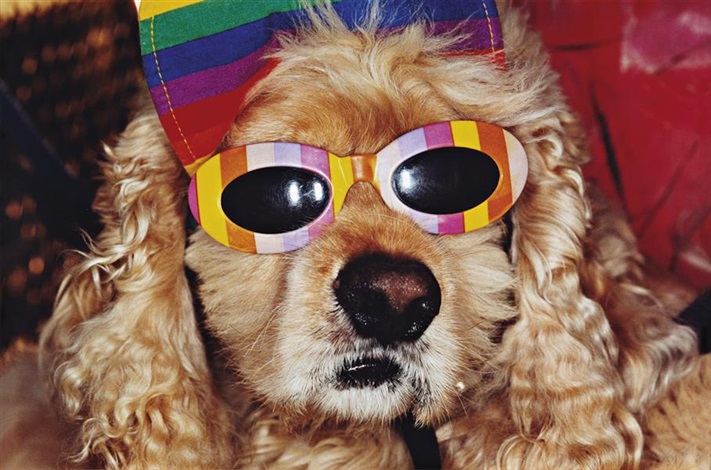 Common Sense　Martin Parr　マーティン・パー Martin Parr | Common Sense (1999) | Artsy