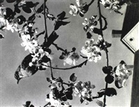 Paul Outerbridge Jr. | Artnet | Page 17