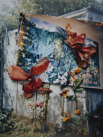 Untitled from the Hackney Flowers series, London 2004-2006 by