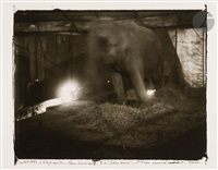 80sIMPROBABLE MEMORIES SARAH MOON ヴィンテージ Sarah Moon | A GROUP OF FOUR WORK PRINTS (1970s-1980s) | Artsy