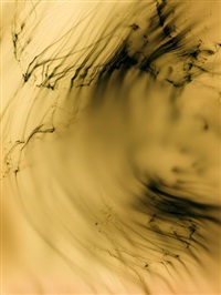 68 Wolfgang Tillmans - Portikus Frankfurt