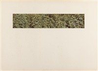 Jan Dibbets | Artnet