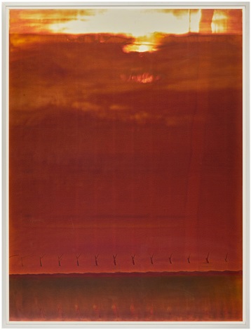 Wolfgang Tillmans 値下げしました41.000～36.000円 Wolfgang Tillmans 値下げしました41.000～36.