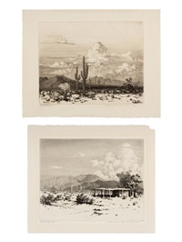 Gravura De Qualidade De Museu Sem título (tradução para Springtime, Paradise  Valley Arizona), 1920 por George Elbert Burr (1859-1939)