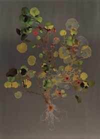 Adam Fuss | Artnet | Page 26
