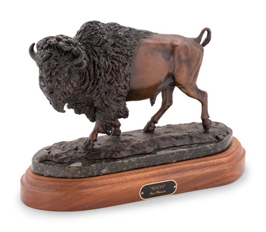 Bison by Eric Thorsen on