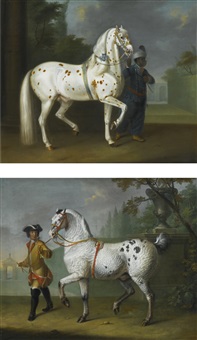 a lipizzaner stallion with curly coat led by a groom; a lipizzaner stallion with