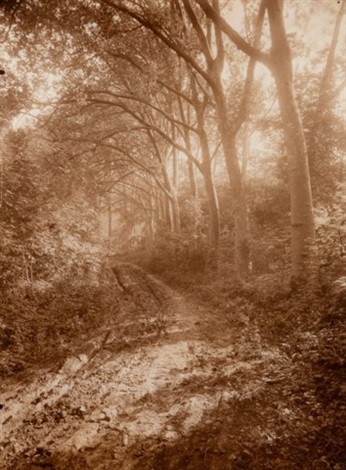 アート・デザイン・音楽 THE WORK OF ATGET Volume III THE WORK OF ATGET Volume III アート・デザイン・音楽