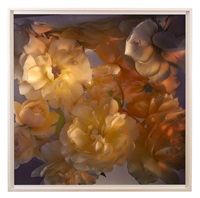 【Nick Knight：photographien 1994-2009】新品 Nick Knight — Nick Knight
