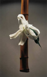 Yukio Nakagawa | Artnet