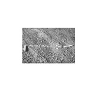 Lewis Baltz | Artnet | Page 8