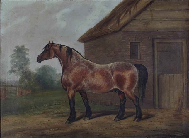 Rouan cheval hotsell