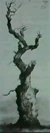 IM ETTERSBURGER PARK by Paul Wilhelm Tübbecke on