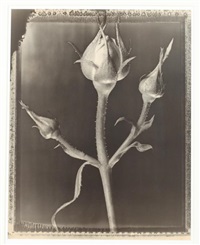 Tom Baril | Artnet | Page 7