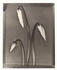 Tom Baril | Artnet | Page 7