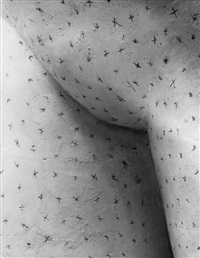 maillol, paris (markings on a sculpture) by erwin blumenfeld