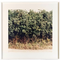 Wegrand, 2001