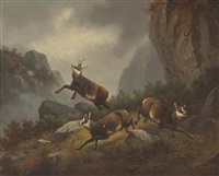 LE GÉANT ET L'OISEAU Eugène Muller フランス（The Project