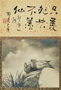 林羅山年譜稿 上條信山先生 年譜
