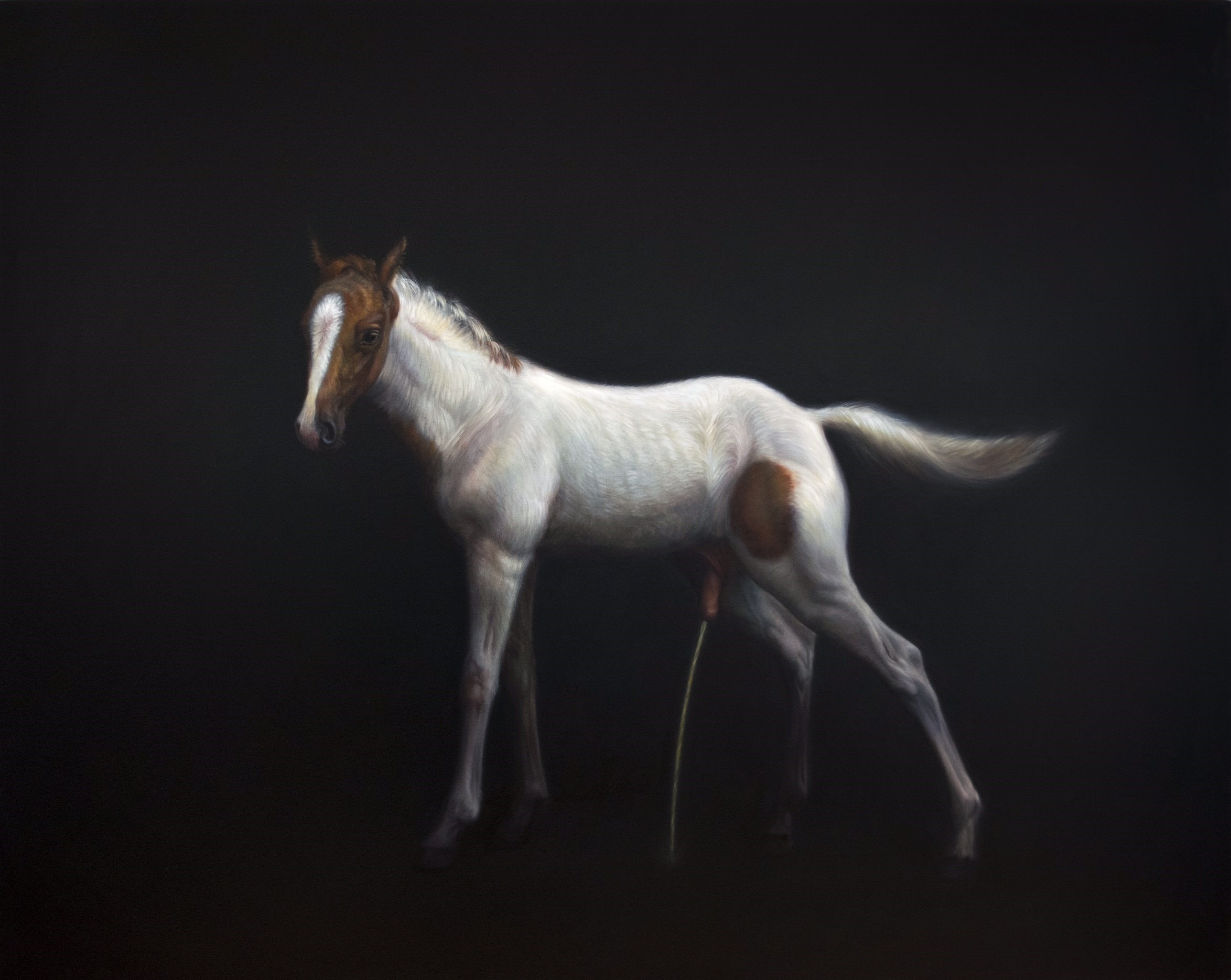 horsexx by TM Davy on artnet