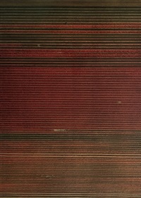 Andreas Gursky | Artnet