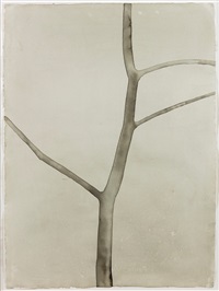 その他 Mats Gustafsson / Trees and Truths - 3EP Mats Gustafsson / Trees and Truths - 3EP