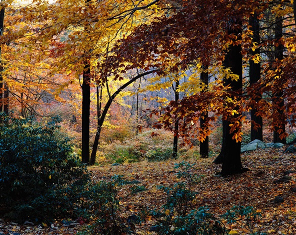 ROBERT GLENN KETCHUM ロバート・グレン・ケッチャム 写真集 October 30, 1983 430 P.M. by Robert Glenn Ketchum on artnet