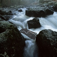 Andy Goldsworthy | Artnet
