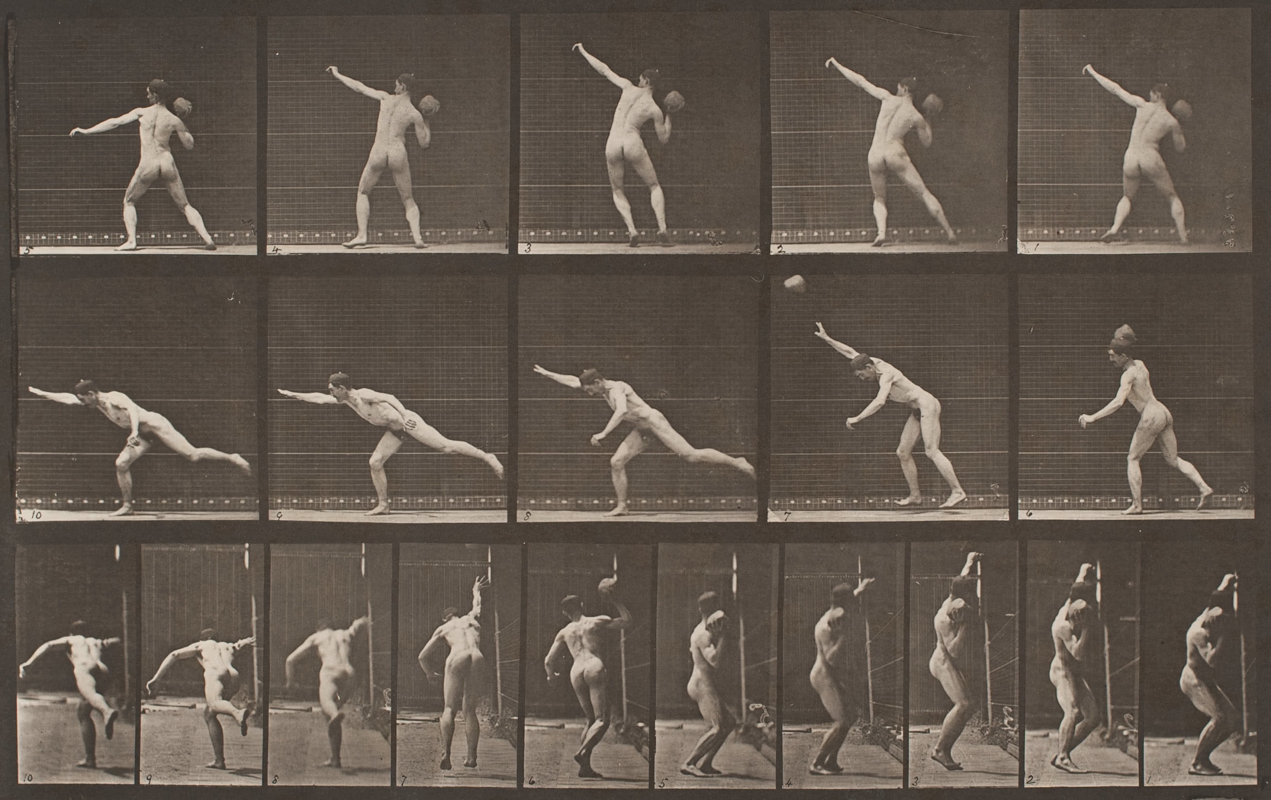 eadweard-muybridge-plate-313,-