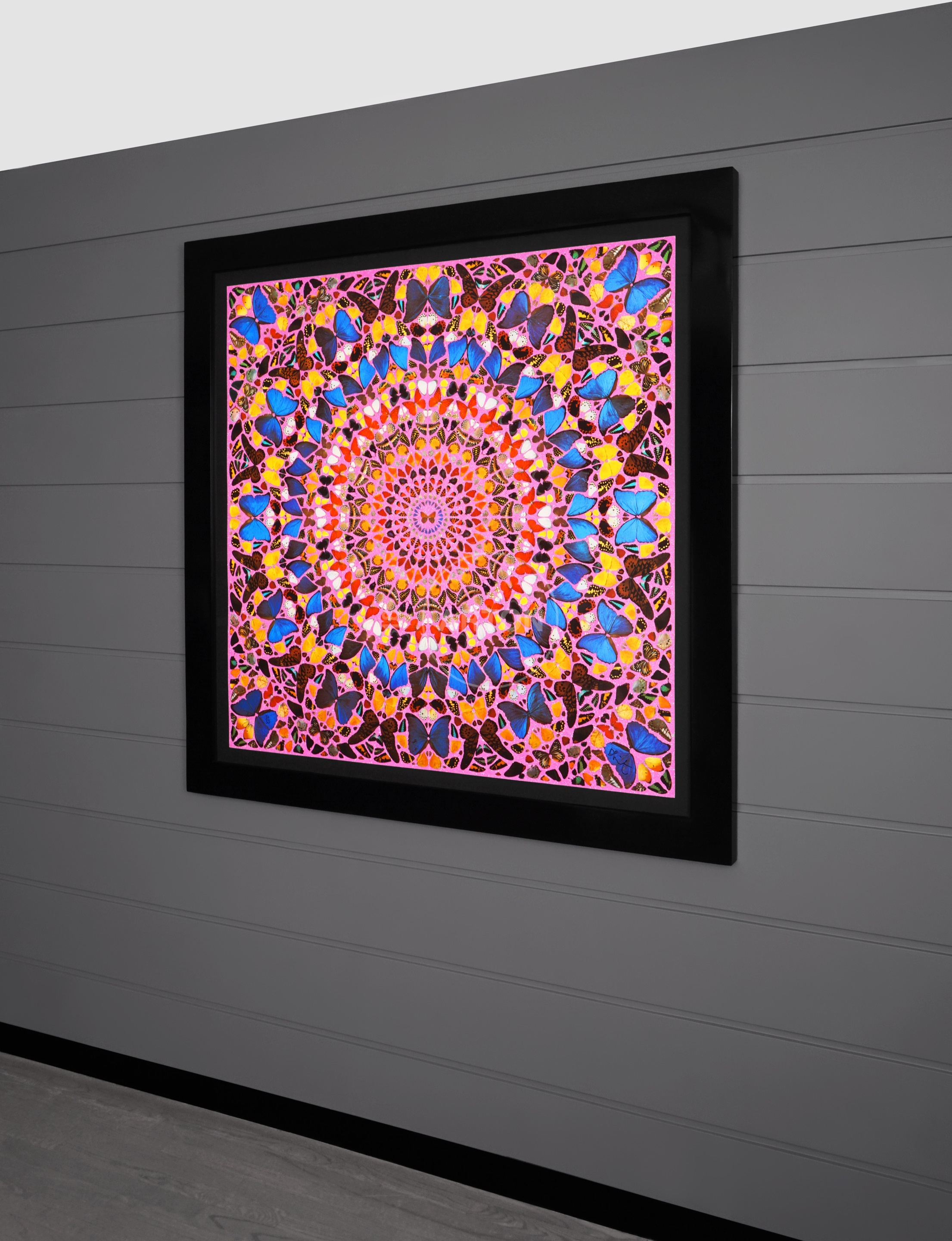 アート・デザイン・音楽 Damien Hirst Damien_Hirst_Harlequin_1_be2c4