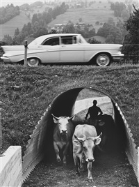 Arnold Odermatt | Artnet