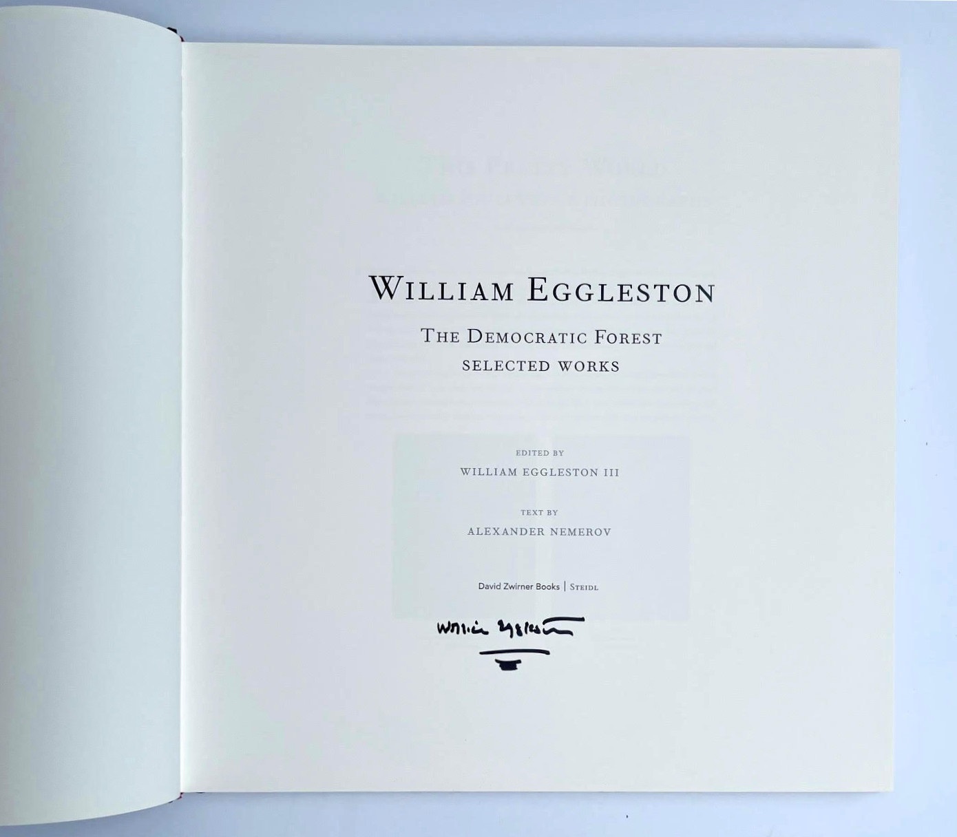 William Eggleston The Democratic Forest Selected Works Hand