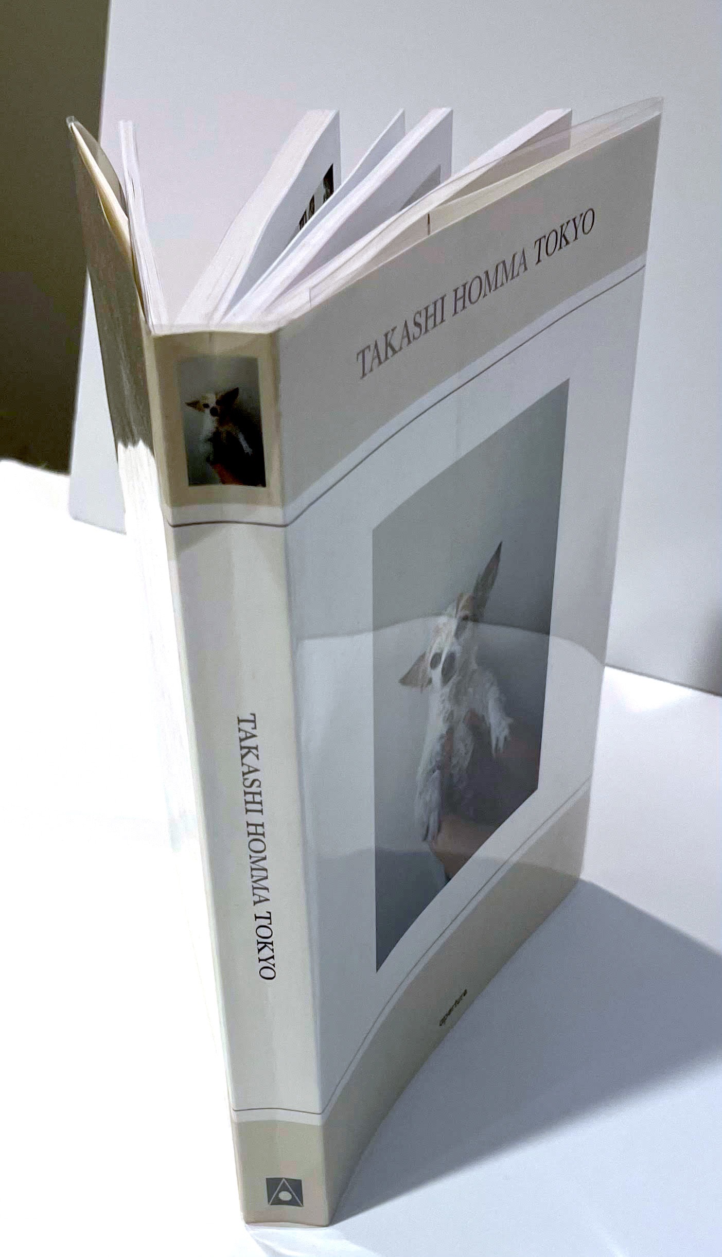 Takashi Homma Tokyo hand signed, inscribed and dated by Takashi